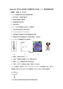 山东省济宁市嘉祥县2020-2021学年九年级上学期期末考试物理试题（word版 含答案）