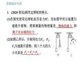 人教版八年级物理 第12章 阶段综合专训2   滑轮、滑轮组的特点 习题课件