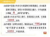 沪粤版八年级下册物理 第7章 专训2 探究力的规律 习题课件