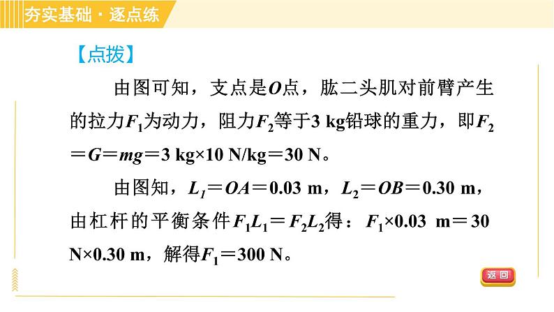 沪粤版八年级下册物理 第6章 专训2 与简单机械有关的计算 习题课件04