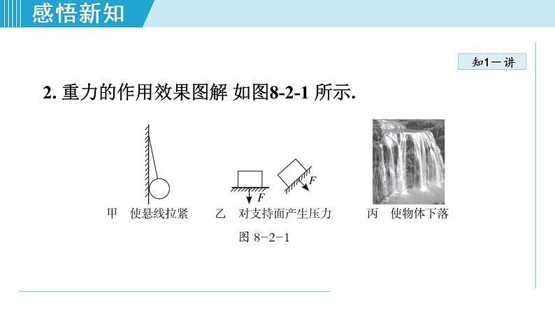 苏科版物理八下课件  8.2重力 力的示意图04