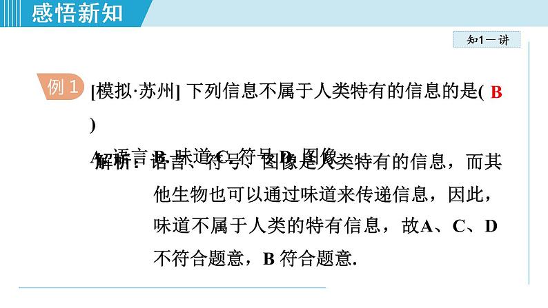 苏科版九年级物理课件  17.1信息与信息传播07