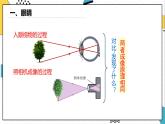 5.4眼睛和眼镜（课件）-2021-2022学年八年级物理上册（人教版）