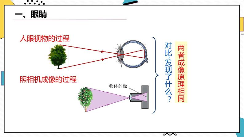 5.4眼睛和眼镜（课件）-2021-2022学年八年级物理上册（人教版）第4页