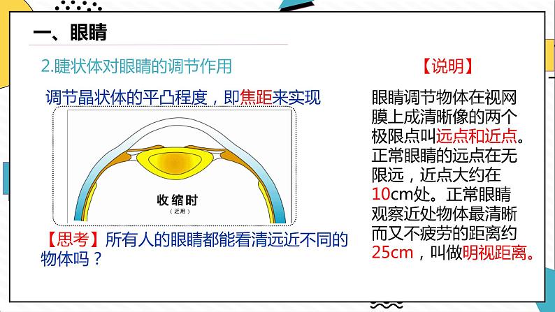 5.4眼睛和眼镜（课件）-2021-2022学年八年级物理上册（人教版）第5页