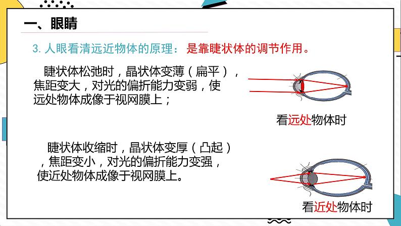 5.4眼睛和眼镜（课件）-2021-2022学年八年级物理上册（人教版）第6页