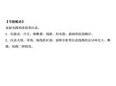 第19章　专题突破十　家庭电路的连接与故障分析课件PPT