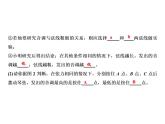 第2章 专题突破四　声学实验课件PPT