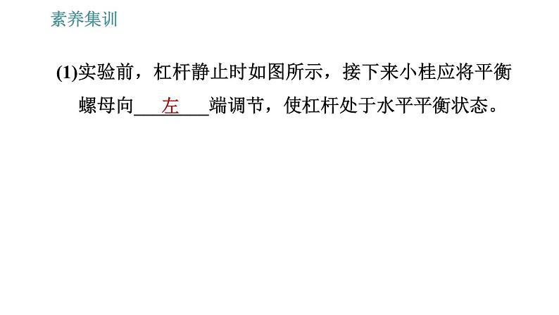 人教版八年级下册物理 第12章 素养集训1   探究杠杆的平衡条件 习题课件第4页