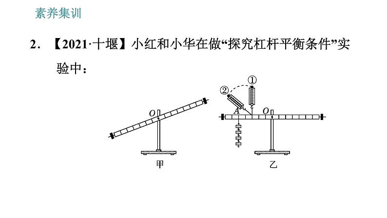 人教版八年级下册物理 第12章 素养集训1   探究杠杆的平衡条件 习题课件第7页