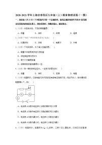 上海市奉贤区2020-2021学年九年级上学期期末物理试卷（一模）  含答案