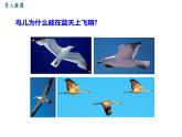4.第四节  流体压强与流速的关系课件PPT
