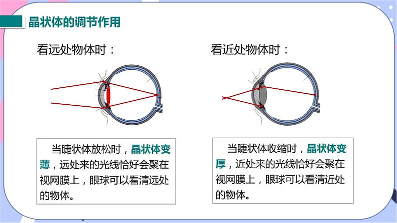 北师大版物理八年级下册6.4《眼睛和眼镜》课件07