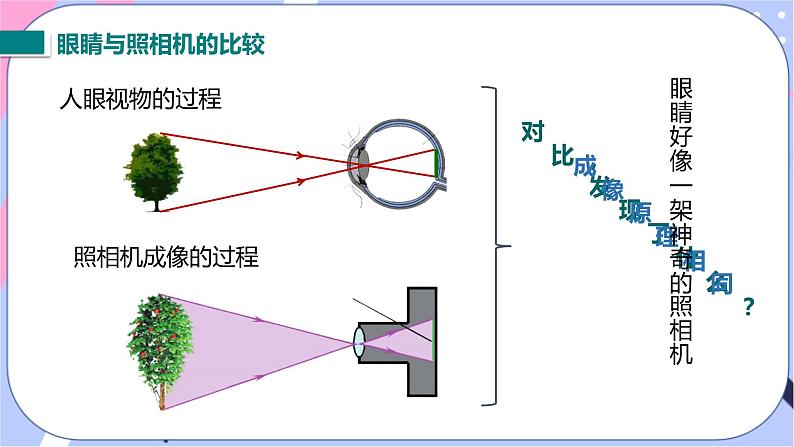 北师大版物理八年级下册6.4《眼睛和眼镜》课件08