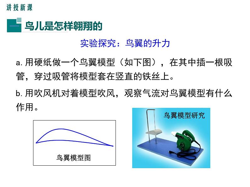 10.1  在流体中运动课件PPT第5页