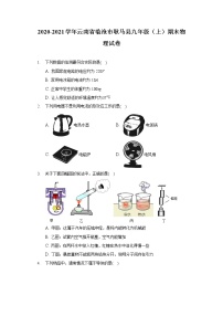 2020-2021学年云南省临沧市耿马县九年级（上）期末物理试卷