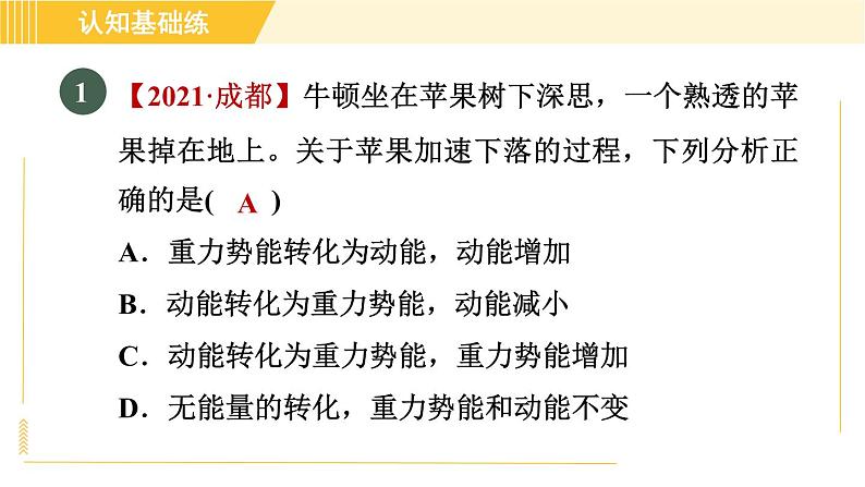 人教版八年级下册物理 第11章 11.4目标一 动能和势能的转化 习题课件第3页