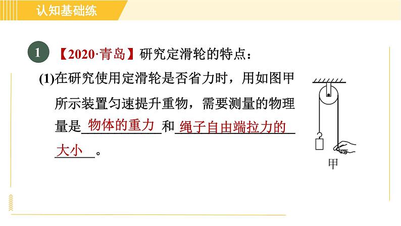 人教版八年级下册物理 第12章 12.2.1目标二 探究定滑轮和动滑轮的特点 习题课件第3页