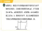 人教版八年级下册物理 第12章 12.1.1目标三 运用杠杆平衡条件进行简单计算 习题课件