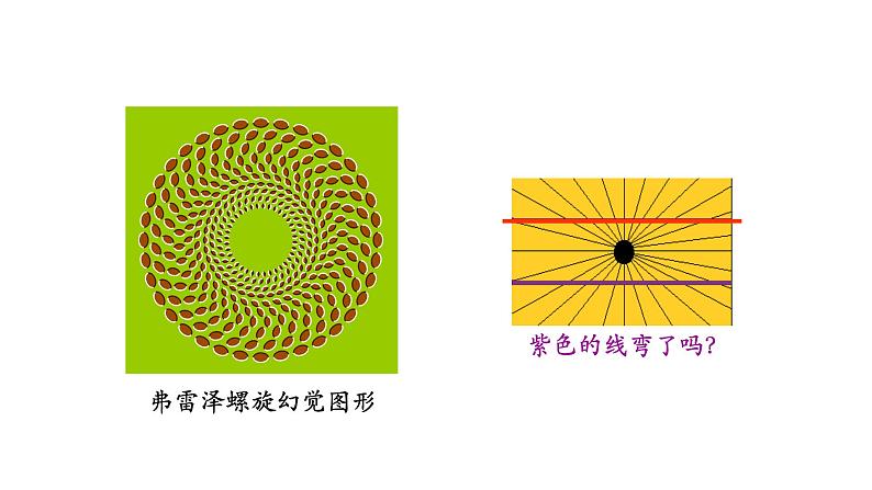 初二【物理(人教版)】长度和时间的测量课件PPT第2页