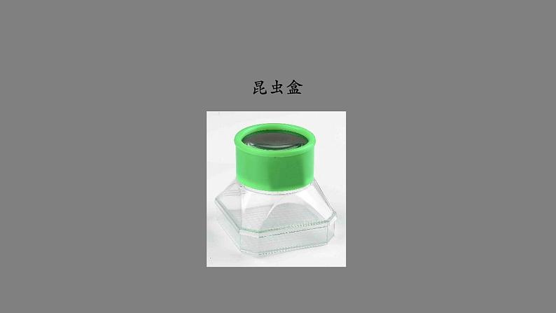 初二【物理(人教版)】生活中的透镜课件PPT第2页