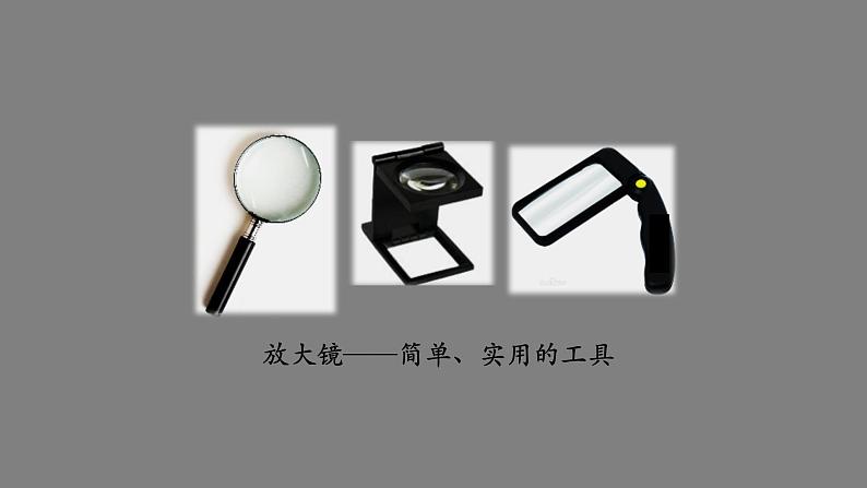 初二【物理(人教版)】生活中的透镜课件PPT第4页