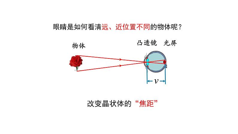 初二【物理(人教版)】眼睛和眼镜课件PPT06