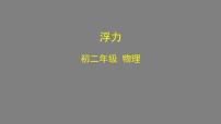 初中物理人教版八年级下册10.1 浮力图文ppt课件