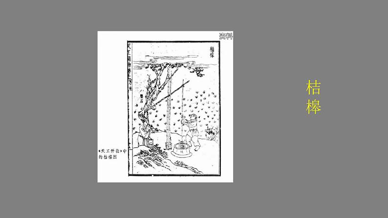 0616初二物理（人教版）-滑轮课件PPT02