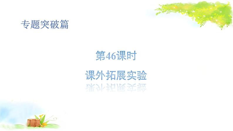 2021年初中物理二轮复习 课外拓展实验 课件（福建省）01