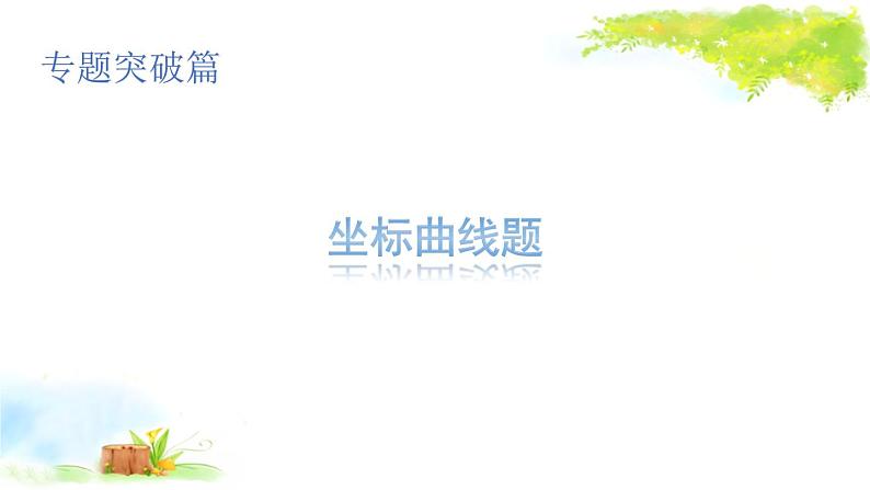 2021年初中物理二轮复习 坐标曲线题 课件（福建省）01