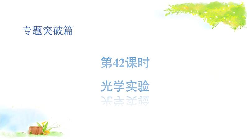 2021年初中物理二轮复习 光学实验 课件（福建省）01