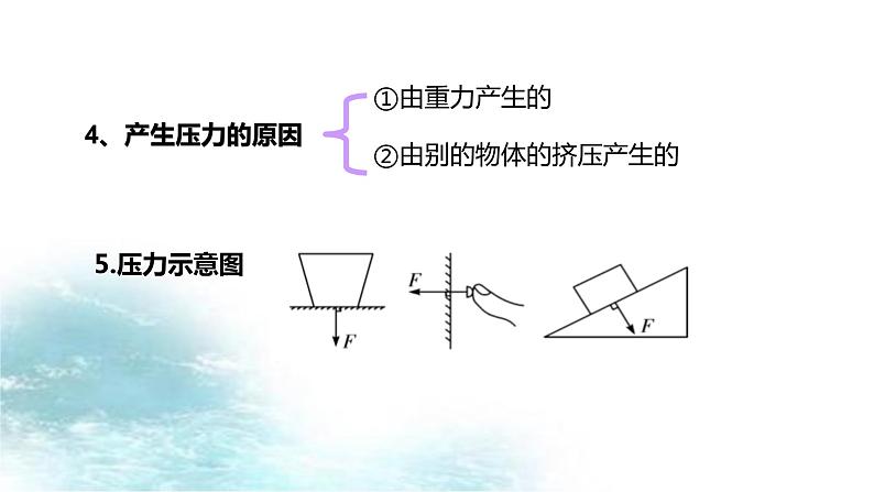 第20讲  固体压强-冲刺2022中考物理第一轮系统复习课件03