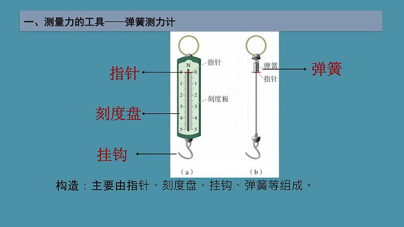 6.2怎样测量和表示力课件PPT第6页