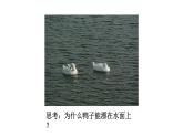 10.1浮力课件PPT