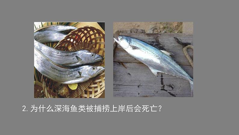 初二物理（师大版）-探究影响液体压强的因素-2PPT课件第3页