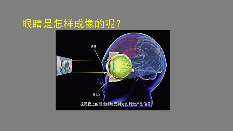 初二物理（师大版）-眼睛和眼镜-2PPT课件第5页