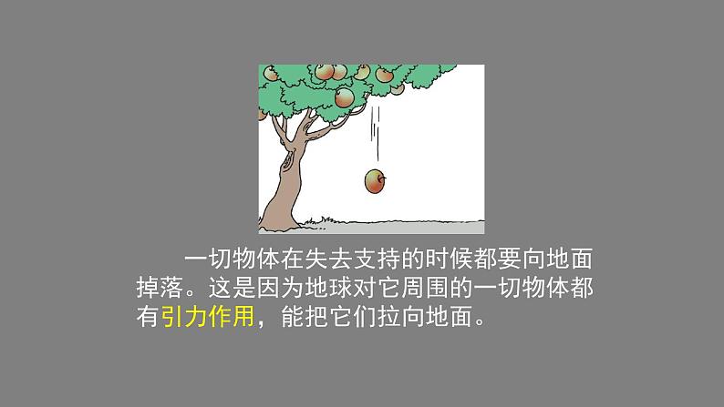 初二物理（师大版）重力-2PPT课件第3页