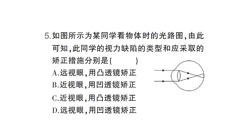 期末专项三 光现象专题归类复习卷课件PPT06