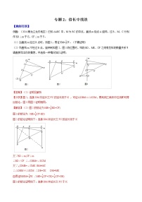 初中数学中考二轮专题练习        专题02   倍长中线法