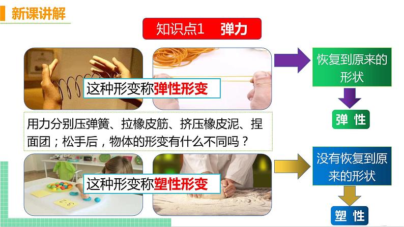 7.2 弹力-八年级物理下册课件（人教版）第4页