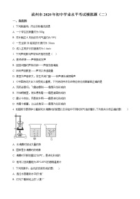 精品解析：2020年山东省滨州市初中学业水平考试二模物理试题(解析版+原卷版)