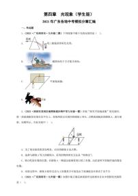 2021广东省中考物理模拟题分章节汇编 第四章  光现象（学生版+解析版）