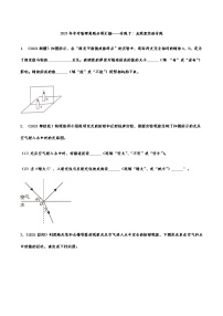 2021年中考物理真题分项汇编光现象实验专题