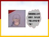 4.3 光的折射（课件+教案+学案+练习）