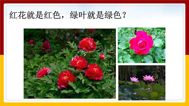 4.4光的色散课件第4页