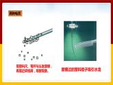 《15.1两种电荷》(课件+教案+练习+导学案)