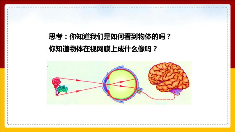 4.6 神奇的眼晴（课件+教案+学案+练习）06