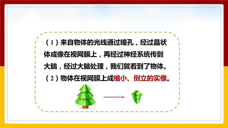 4.6 神奇的眼晴（课件+教案+学案+练习）07