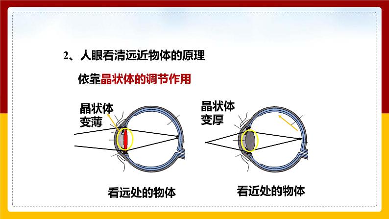 4.6 神奇的眼晴（课件+教案+学案+练习）08